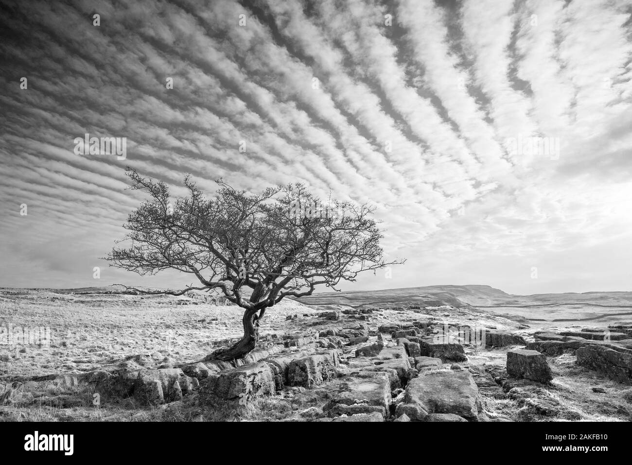 Cielo sgombro Foto Stock