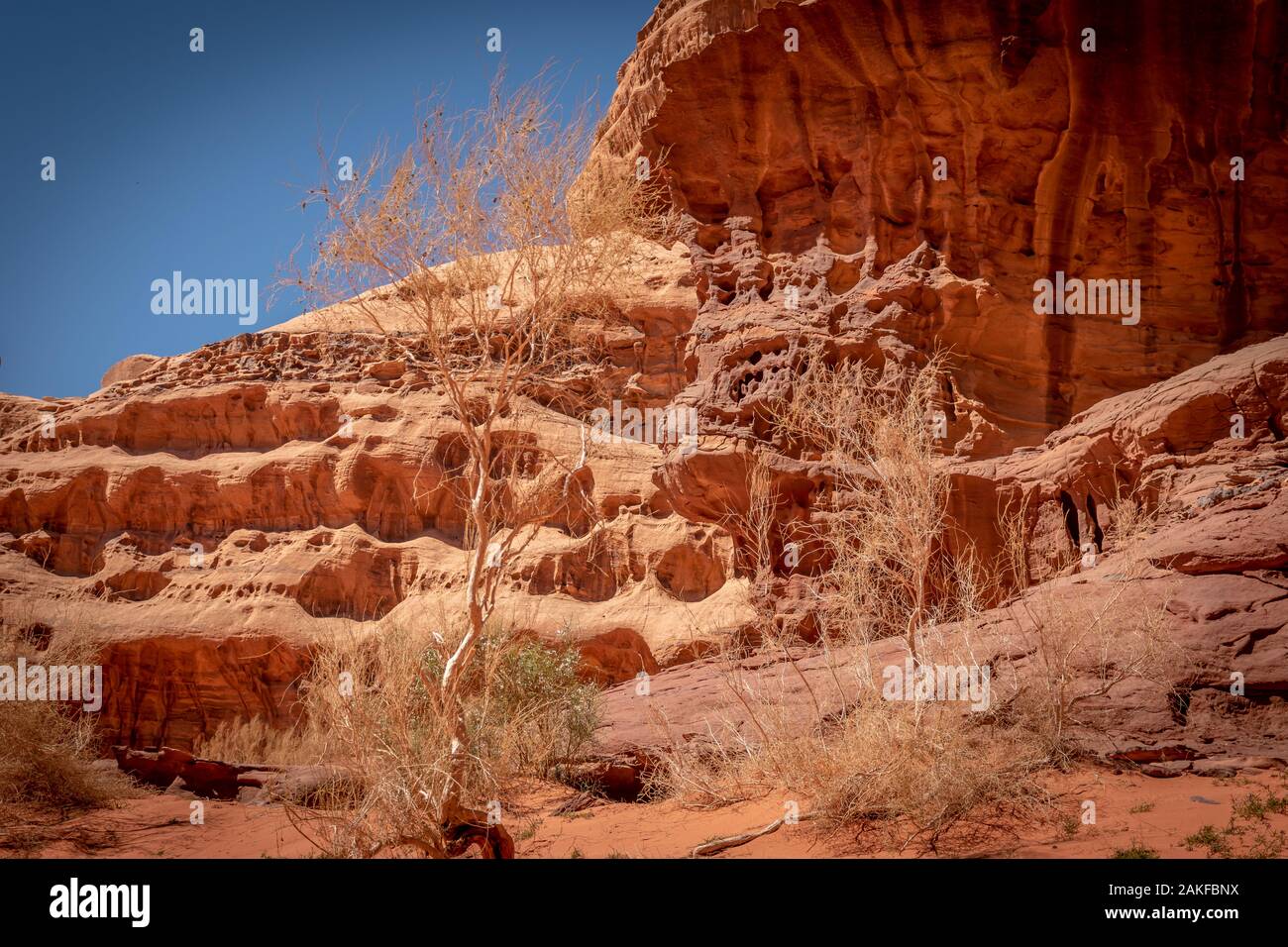 Abu Khashaba canyon presso Wadi Rum desert in Giordania Foto Stock