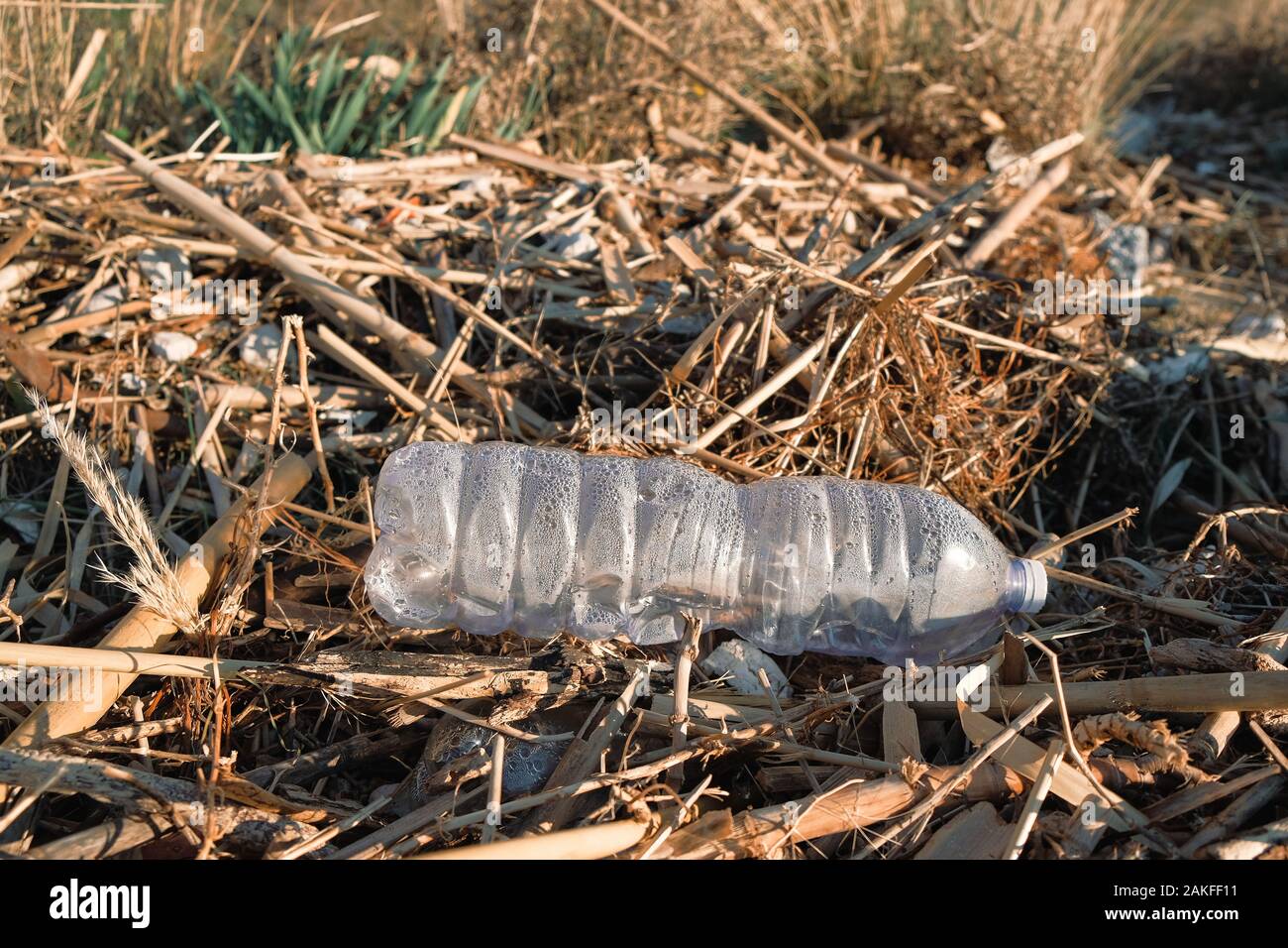La bottiglia di plastica rifiuti sulla selvaggia costa del mare inquinato ecosistema vegetazione,pianeta salva Foto Stock