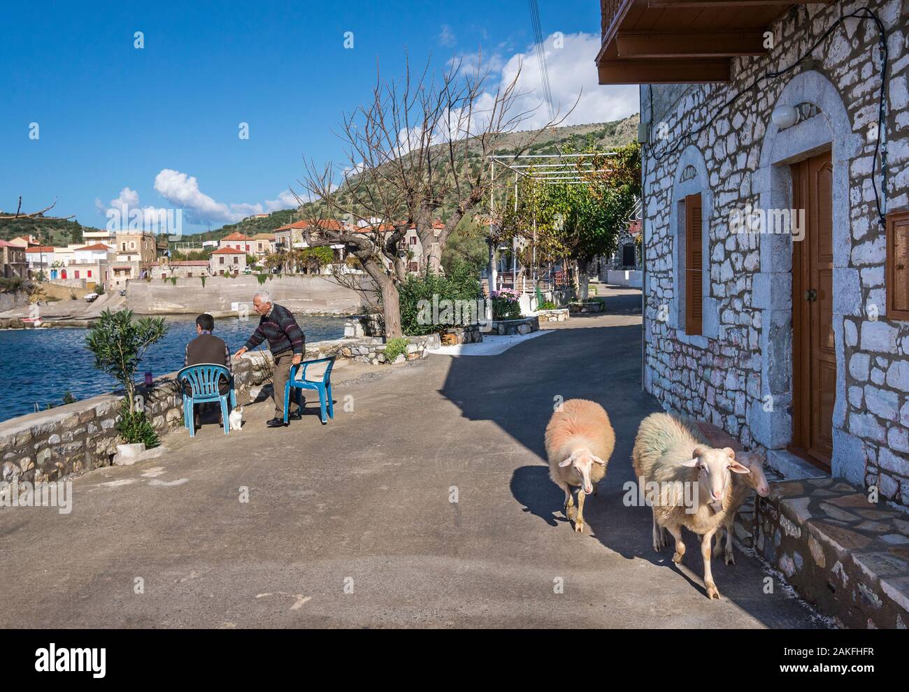 La vita del villaggio in il sonnolento villaggio di Trahila, nella parte esterna di Mani, sud del Peloponneso, Grecia Foto Stock
