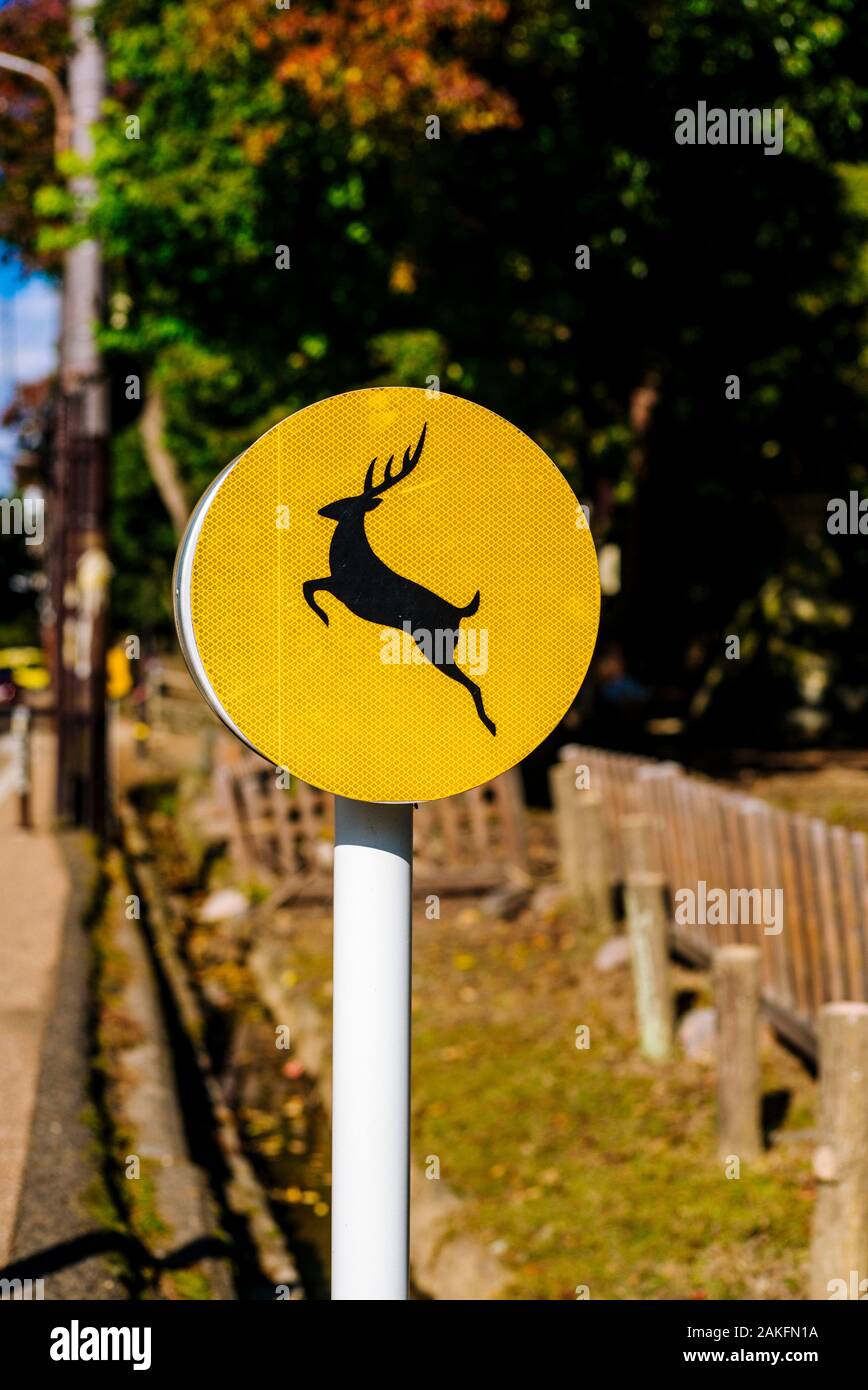 Segno di traffico di avvertimento di cervi selvatici a Nara, Giappone Foto Stock