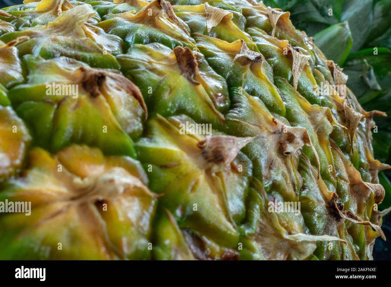 Pelle di ananas e foglie patern a schermo intero Foto Stock