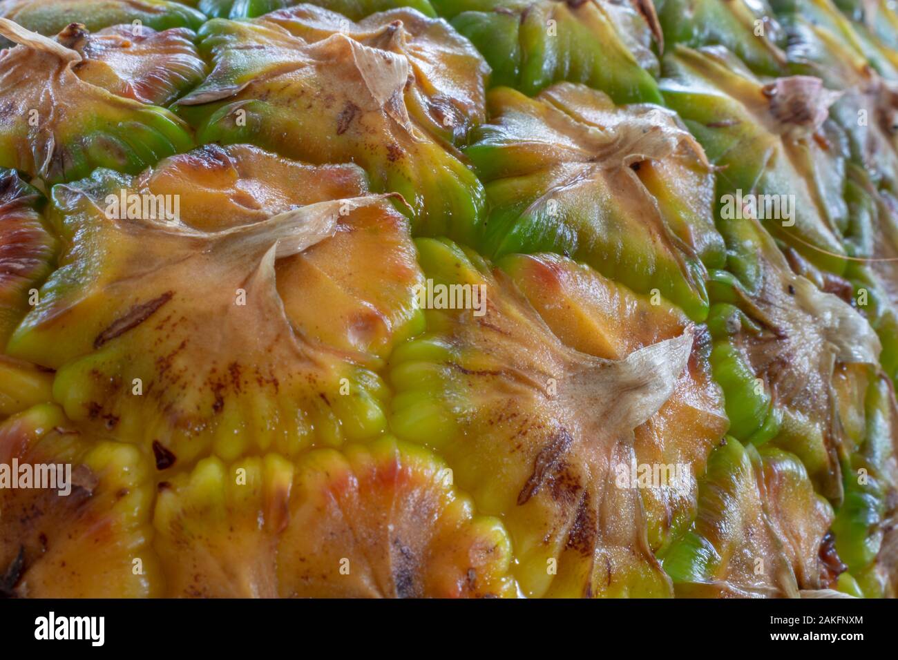 Pelle di ananas e foglie patern a schermo intero Foto Stock