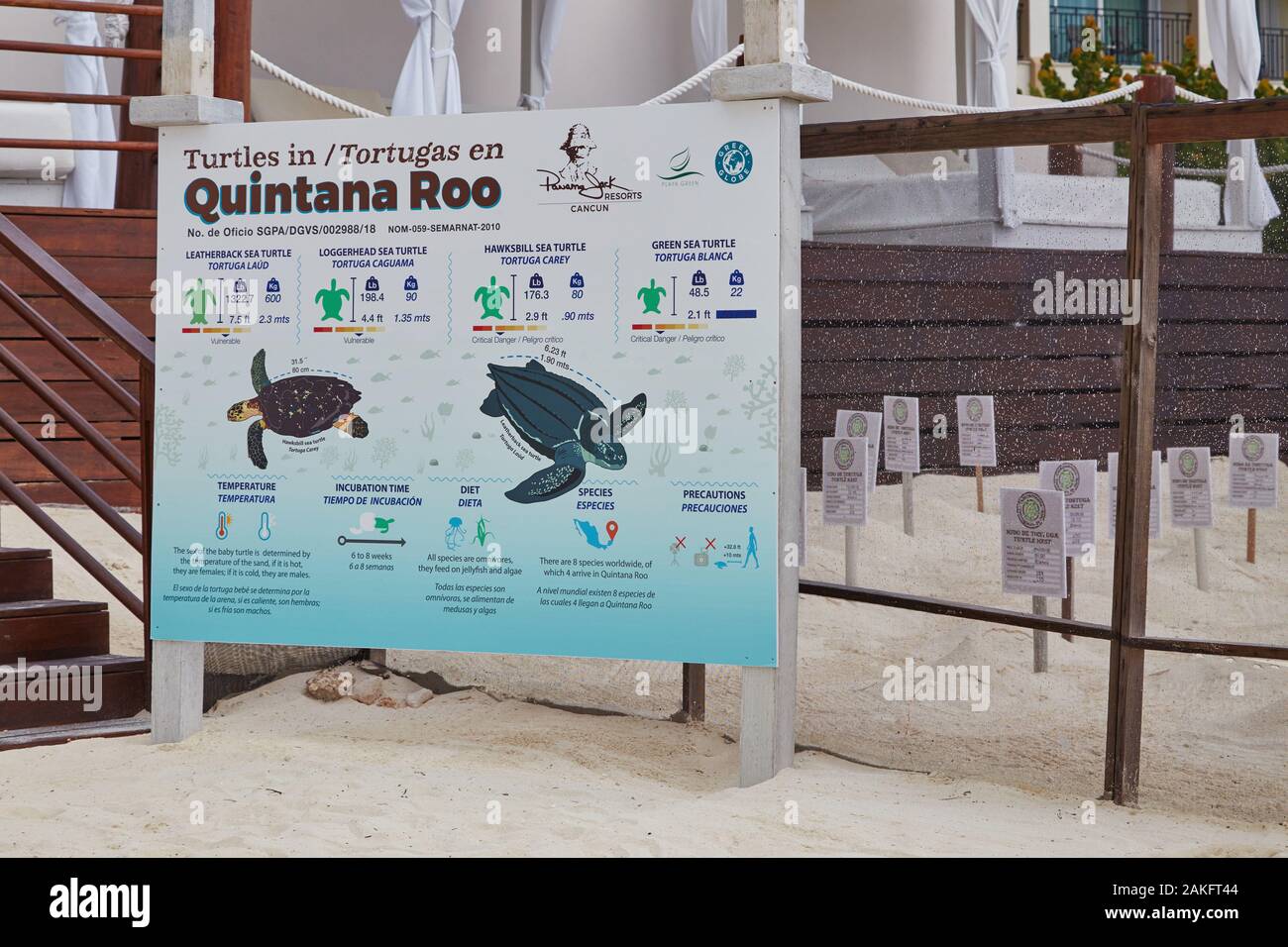 Un recinto protettivo di nido d'uovo di tartaruga dove le uova sono monitorate fino a schiaccate e poi rilasciate nel mare a Cancun, Messico Foto Stock