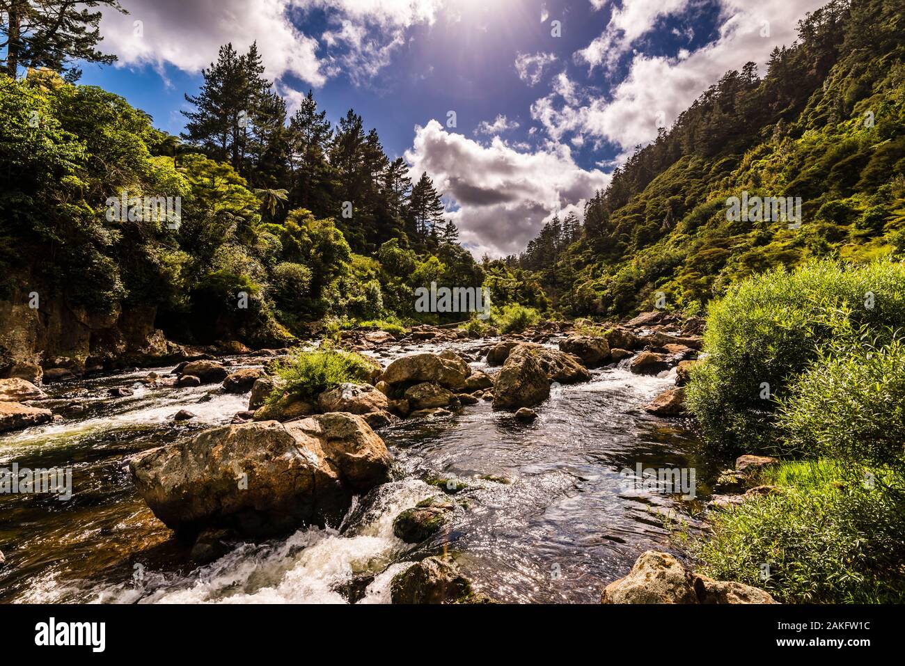 Il Ohinemuri River rapids a Karangahake Gorge, Waikato, Isola del nord, Nuova Zelanda Foto Stock