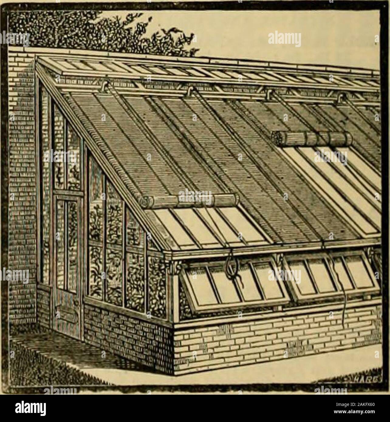 I giardinieri' cronaca : un settimanale illustrato ufficiale di orticoltura e materie affini . Pratica approfondita aiil HothouseBuiMers HtatingEngineers.serre di ogni descrizione in legno o ferro, eretta inany parte del regno. La fabbricazione di prima classe e di thevery beat materiali al prezzo più basso possibile. I listini dei prezzi. I piani e le stime di frt e. Salva il tuo fuoco e mantenere una temperatura fissa sotto vetro da usingFRIGI DOMO, fatta di capelli preparati andwool: una perfetta non conduttore di freddo. iPROTECT le vostre piante] rRIGIDOMo (registrato =iADE segno! IFOR LISTINO PREZZI &. Indicazioni di indirizzo DE Foto Stock