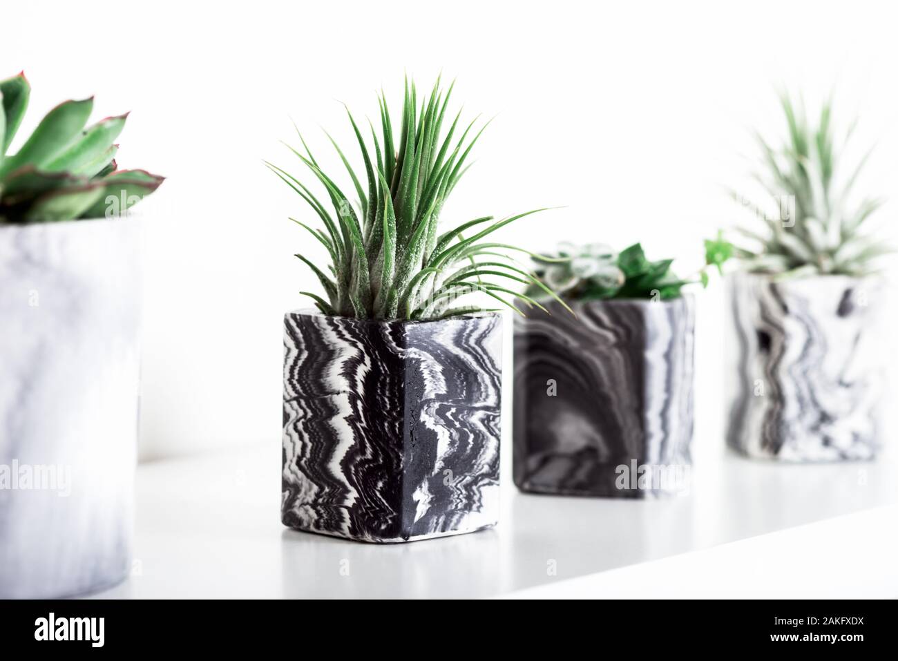 Raccolta di marmo succulente geometrica piantatrici con bellissimo piccolo le piante succulente sul ripiano bianco contro il muro bianco. Lifestyle home decoration Foto Stock