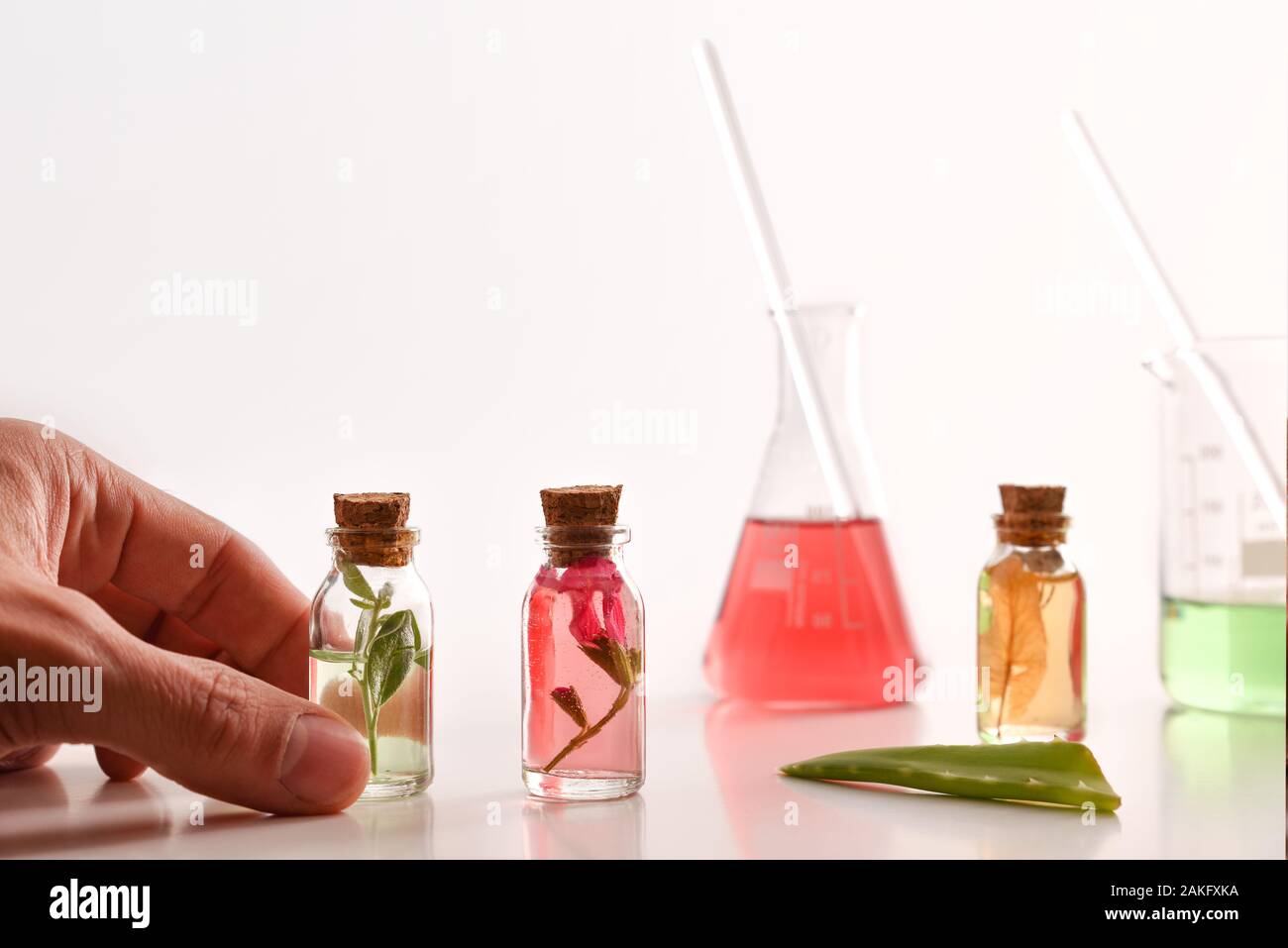 Concetto di preparazione di essenze naturali di vegetali con il farmacista mani prendendo una fiala di vetro in laboratorio con i vasetti con foglie dentro e laborato Foto Stock
