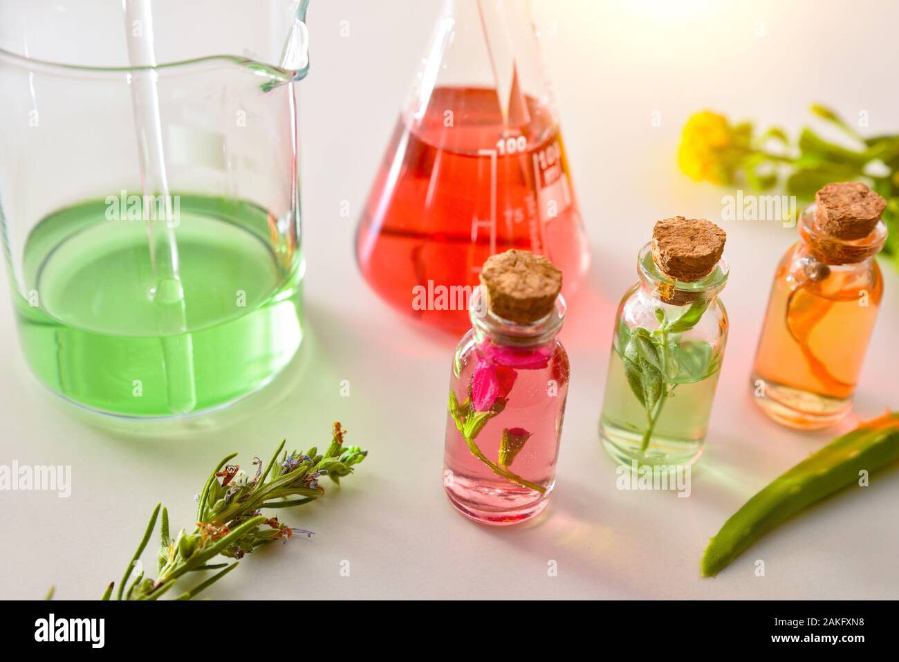 Concetto di preparazione di essenze naturali di vegetali in laboratorio con i vasetti con foglie all'interno e materiale di laboratorio. Vista in elevazione. Foto Stock