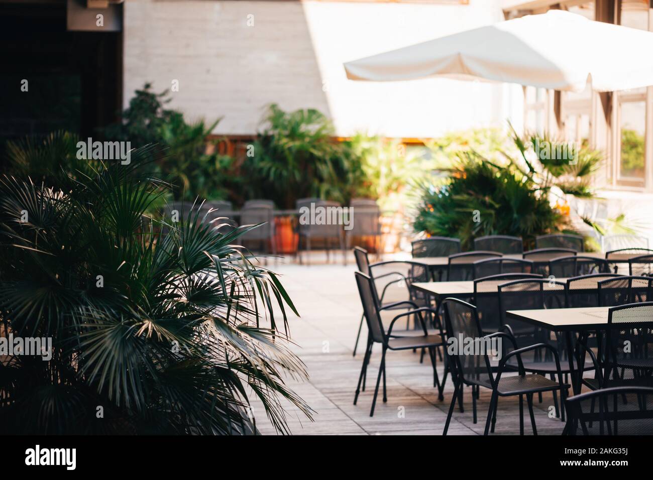 Sedie vuote e le tabelle sotto un ombrellone con piante e palme in un cafe Ambiente per gli studenti universitari e i partecipanti del congresso in la leona Foto Stock