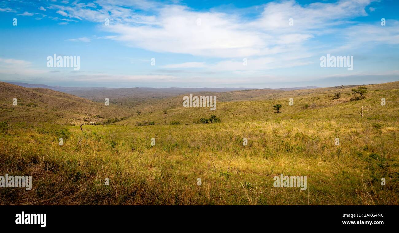 Savana Africana Immagini e Fotos Stock Alamy