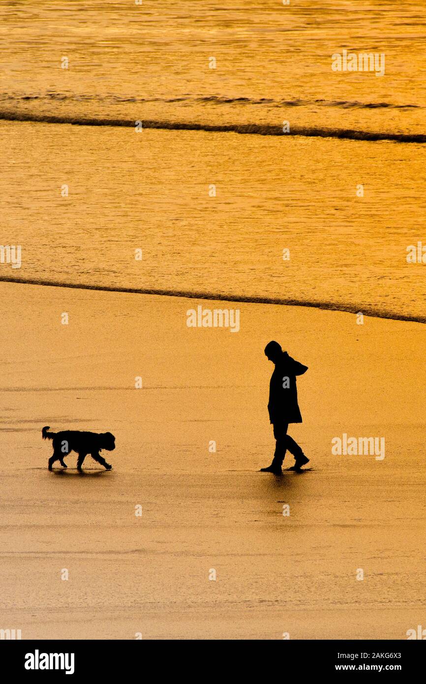 Un dog walker e un cane stagliano dalla intensa luce dorata del sole al tramonto a Fistral Beach in Newquay in Cornovaglia. Foto Stock