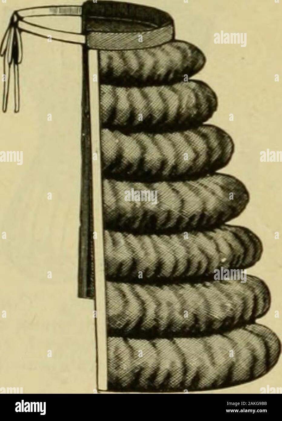 Strawbridge & Clothier's Quarterly . No. 38.-Tournure di f rench HairCloth, bellissima e molto desira-BLE. Prezzo per 15-pollici di lunghezza,I1.75; per 20 pollici di lunghezza, F2.25;per 27 pollici di lunghezza, ho2.75. No. 39.-Pufled Haircloth Bus-tle, con cinque o sette rowsof puffing. Prezzo per 7-inchlength, 70c.; per 9 pollici di lunghezza,95c.; e 12 pollici di lunghezza, mi1,25. Foto Stock