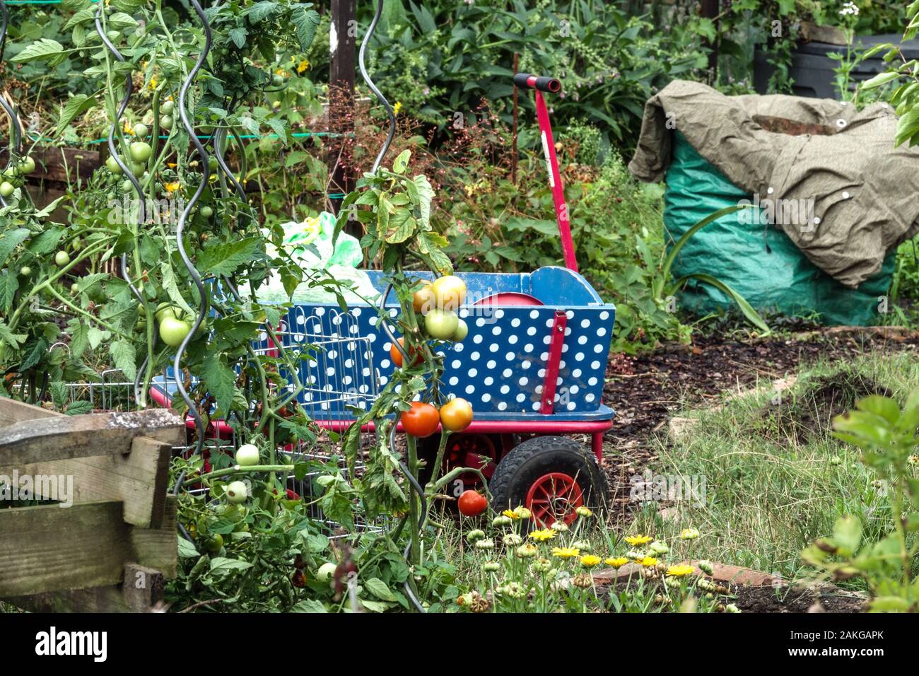 Bambini il carrello in un giardino Foto Stock