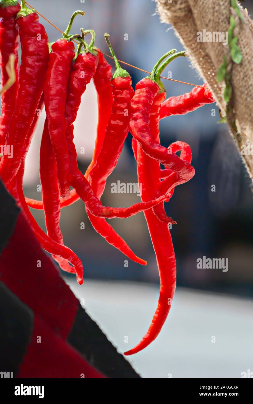 Peperoncino rosso; Foto Stock