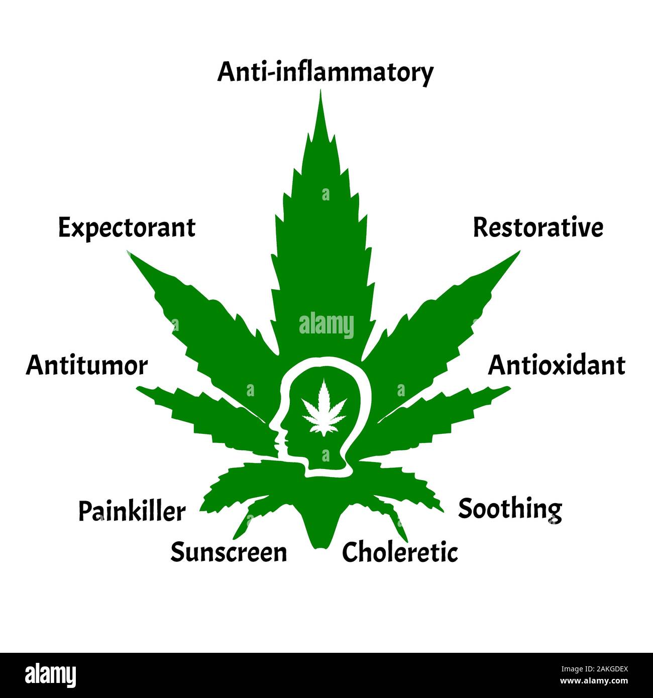Proprietà utili di olio di canapa. Icone di Marijuana CBD. Il logo dei cannabinoidi. Foglie di marijuana. Olio di canapa. Infographics. Illustrazione Vettoriale sulla isolato Illustrazione Vettoriale