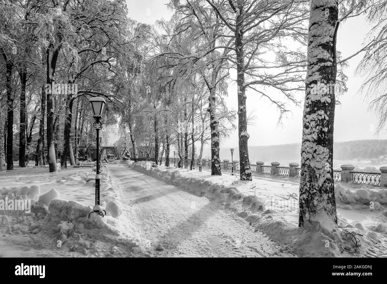 Winter Park con alberi coperti di neve e ghiaccio e il percorso in una giornata di sole. Paesaggio. Sunrise. Monocromatico. Foto Stock