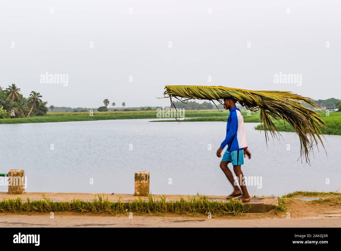 La Costa d Avorio, Grand Bassam, uomo crrying palme di foglie di fronte alla laguna Foto Stock