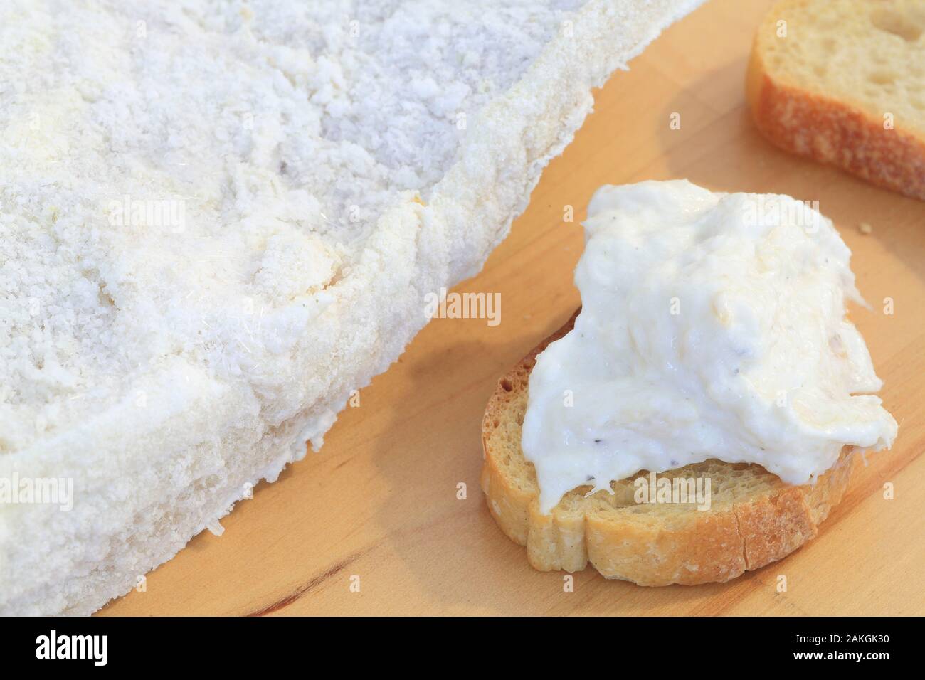 Francia, Gard, Nimes, cod brandade (La Nimoise) con un pezzo di merluzzo bianco Foto Stock