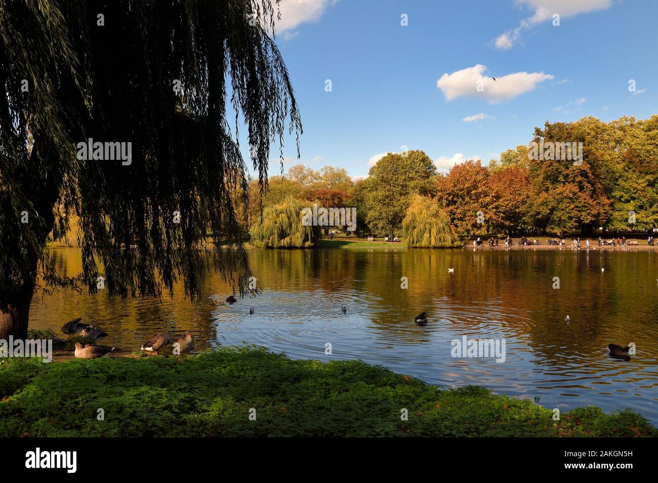 Regno Unito, Londra City of Westminster, St James Park lake Foto Stock