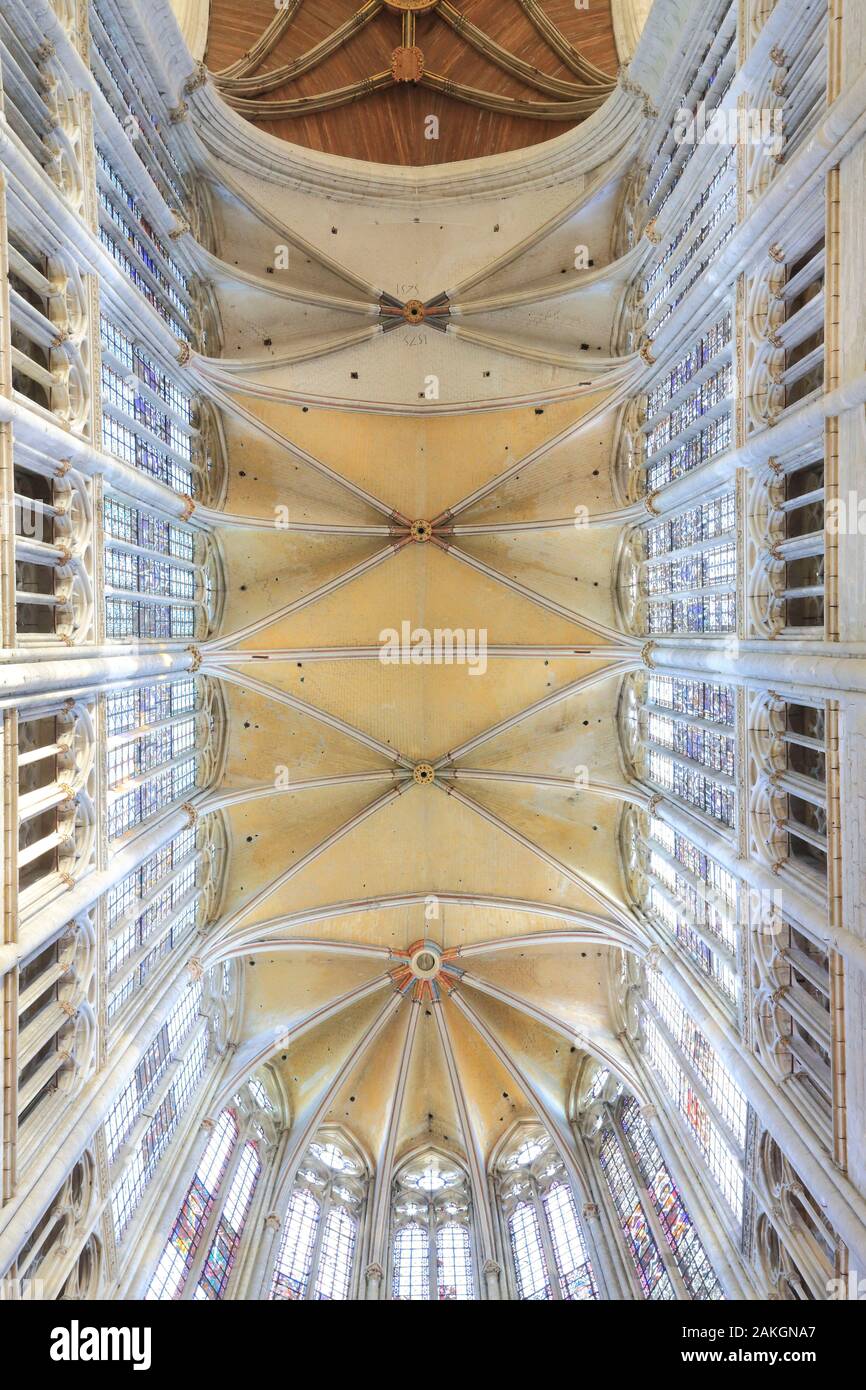 Francia, Oise, Beauvais, Saint-Pierre de Beauvais Cattedrale (13th del XVI secolo) con il più alto coro gotico nel mondo, coro vaults Foto Stock