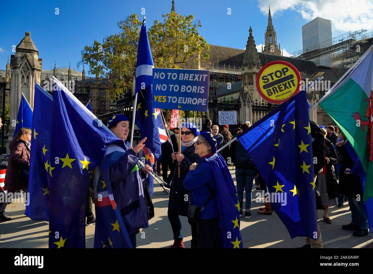 Regno Unito, Londra City of Westminster, protesta contro Brexit nel parlamento britannico, la bandiera europea Foto Stock