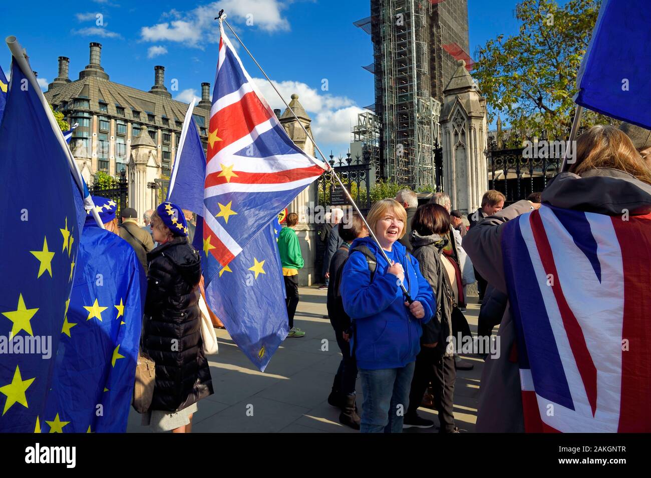 Regno Unito, Londra City of Westminster, protesta contro Brexit nel parlamento britannico, la bandiera europea Foto Stock