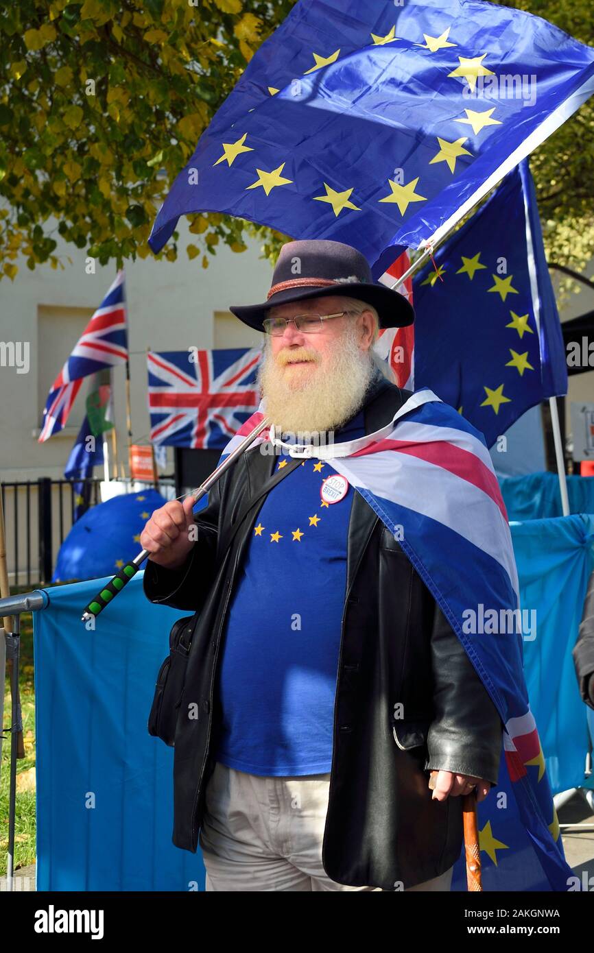 Regno Unito, Londra City of Westminster, protesta contro Brexit nel parlamento britannico, la bandiera europea Foto Stock