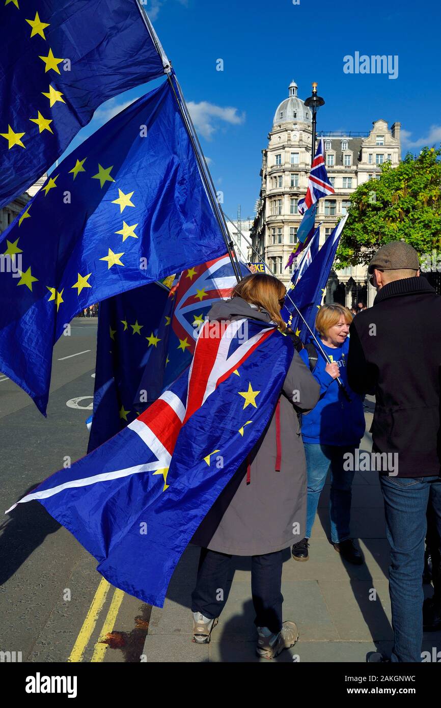 Regno Unito, Londra City of Westminster, protesta contro Brexit nel parlamento britannico, la bandiera europea Foto Stock