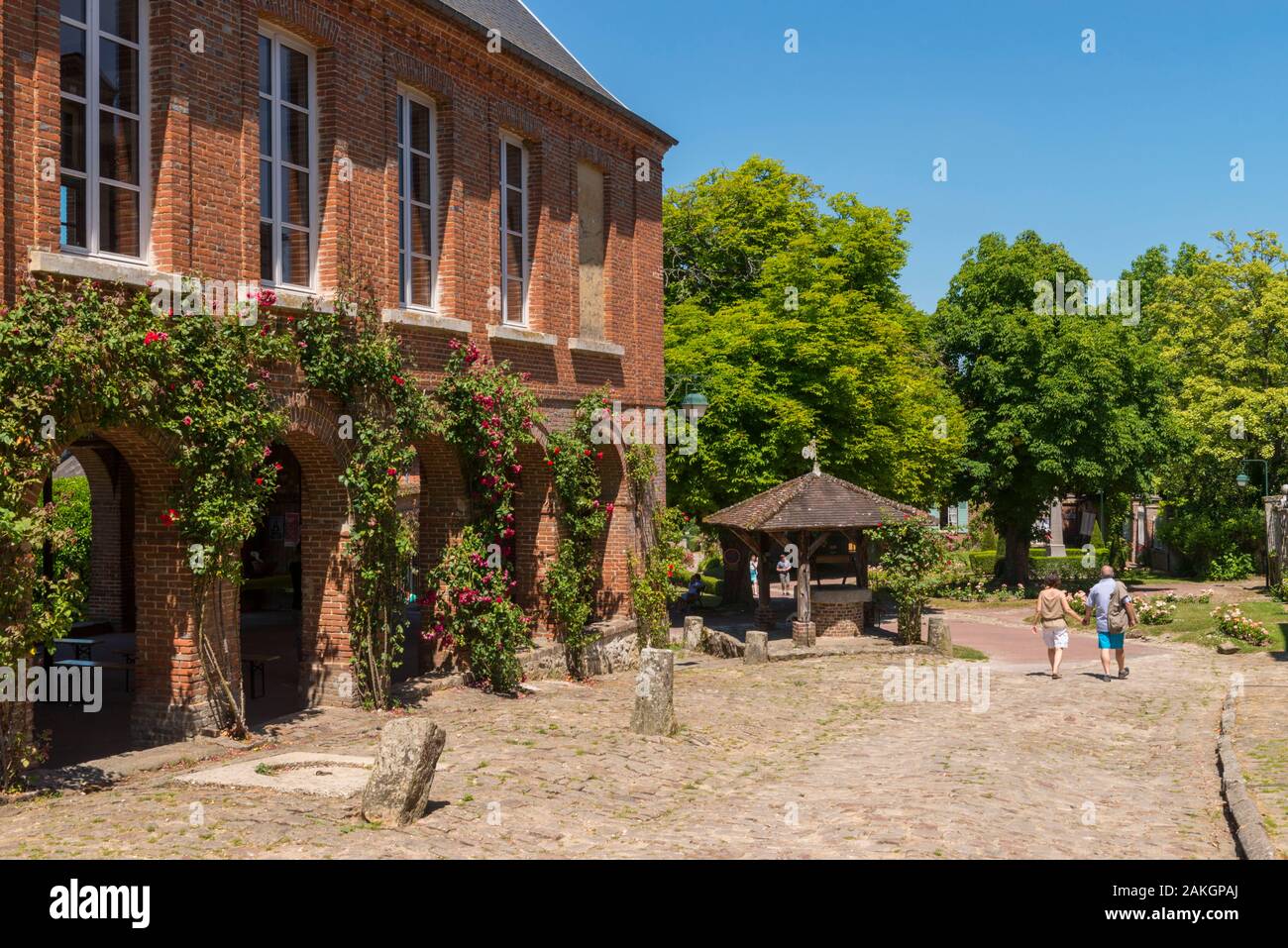 Francia, Oise, Gerberoy, classificato più bei villaggi della Francia, le sue case del XVII e XVIII secolo, fatte di legno e cob o in mattoni e pietra focaia, Gerberoy rendono un luogo unico per camminare in primavera e in estate la rose rampicanti sulle facciate trasformare la città in un vero e proprio giardino di rose Foto Stock