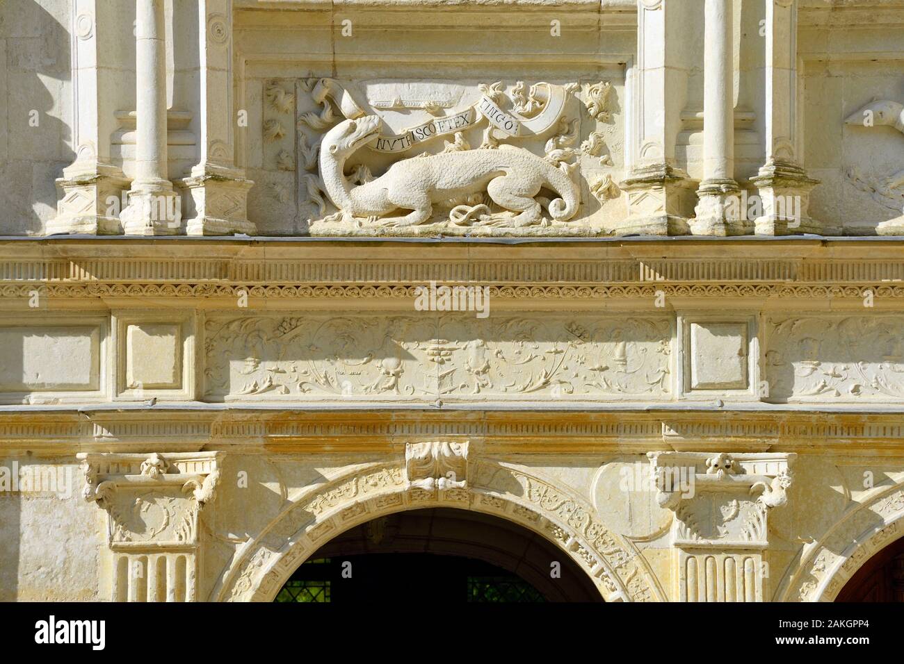 Francia, Indre et Loire, la Valle della Loira sono classificati come patrimonio mondiale dall' UNESCO, il castello di Azay le Rideau, costruito dal 1518 al 1527 da Gilles Berthelot, in stile rinascimentale, scalone d'onore, Salamander simbolo del re Francois 1 Foto Stock