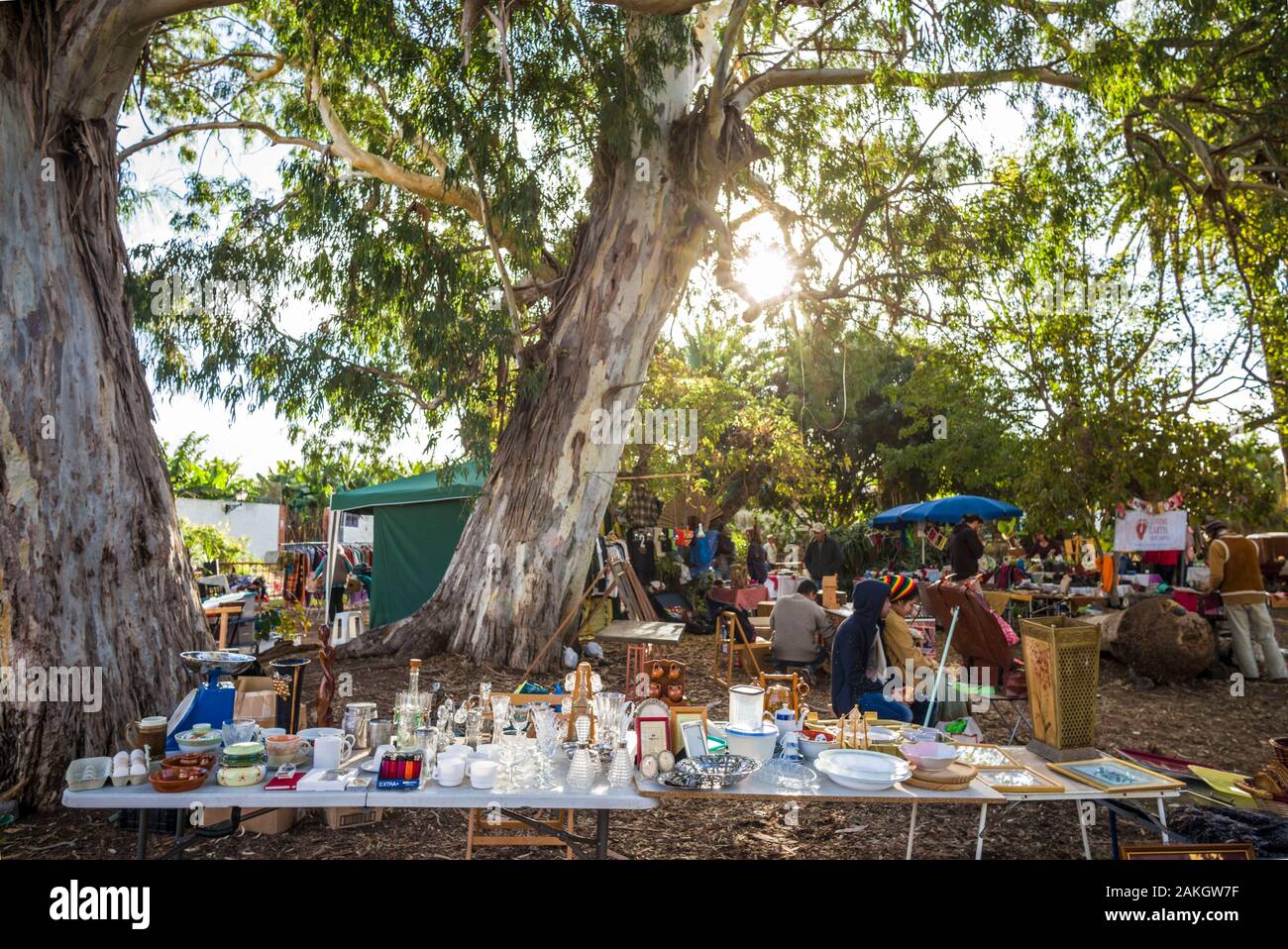 Spagna Isole Canarie La Palma Isola, Los Llanos de Aridane, il Rastro de Argual mercato delle pulci Foto Stock