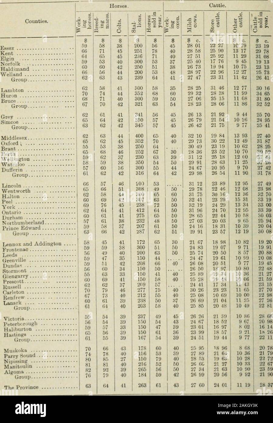 Ontario documenti di seduta, 1897, No.34-35 . 9 217,015 5,292,203 283,924295,144395,163226,087236,399198,738237,762206,804179,318538,016480,940486,8083,765,103 505,596 357,030 554,482 55,633 1,472,741 12:^539 123,235 35,576 98,761 79,331 460,442 28,748,995 1895. 640,2221,013,939993,710505,981402,169298,447.3,854,468 986,6791,863,1521,424,7494,274,580 1,494,8471,114,8332,609,680 1,742,063 1,180,807 1,124,270 456,011 907,254 1,664,904 7,533,836 458,527 312,406 486,018 392,287 686,622 1,076,148 1,030,308 662,272 586,805 209,994 290,380306,442,860 t),269374,406226,011191,072174,333255,723211,678177,9 Foto Stock