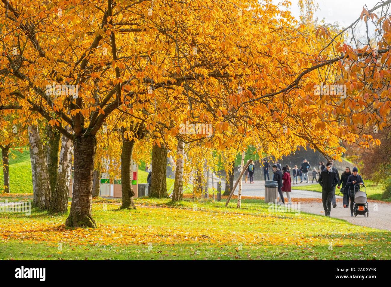 Francia, Parigi, Bois de Vincennes, il parco floreale in autunno Foto Stock