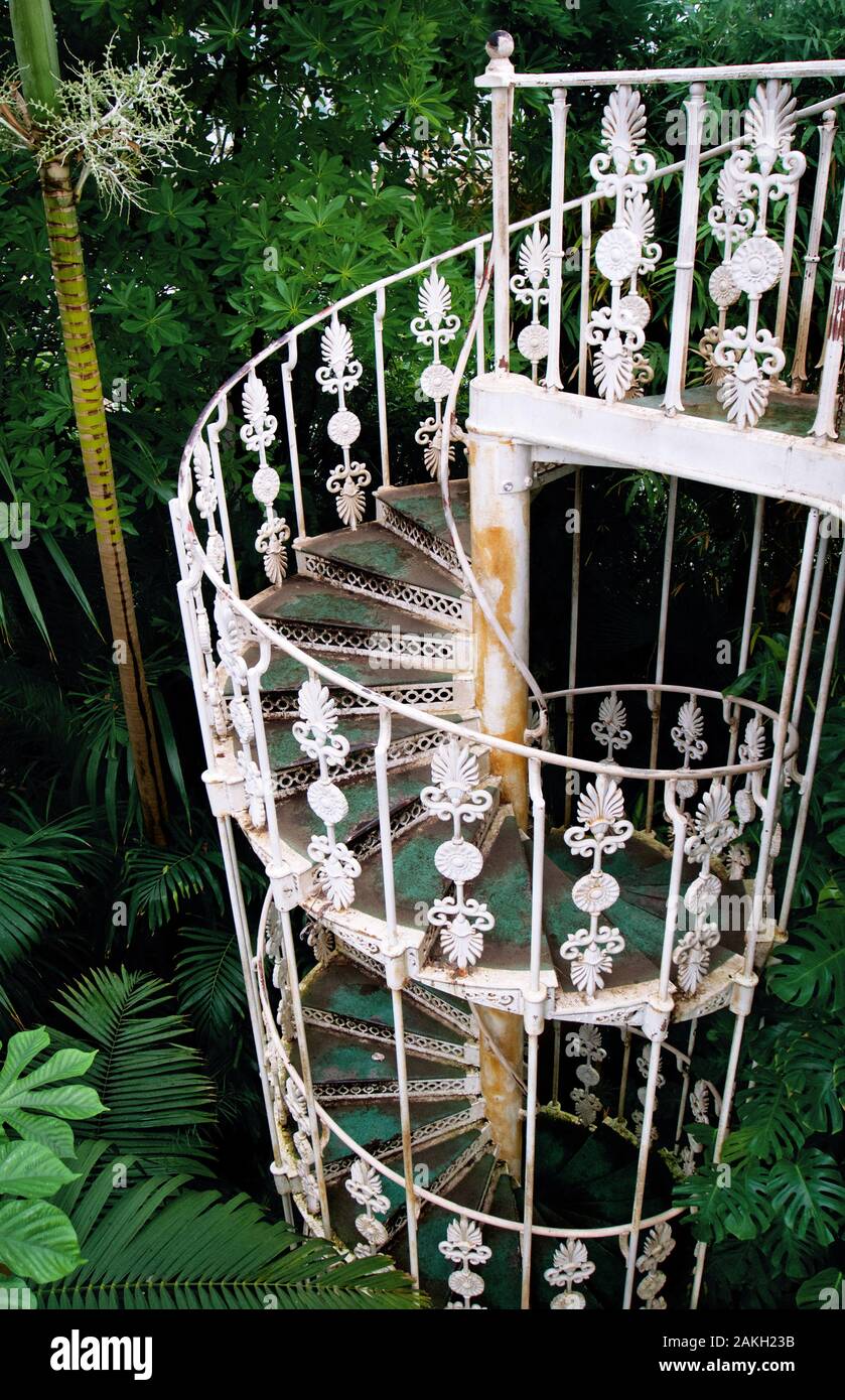 Ferro battuto scala a chiocciola in Palm House di Kew Royal Britanic Gardens Foto Stock
