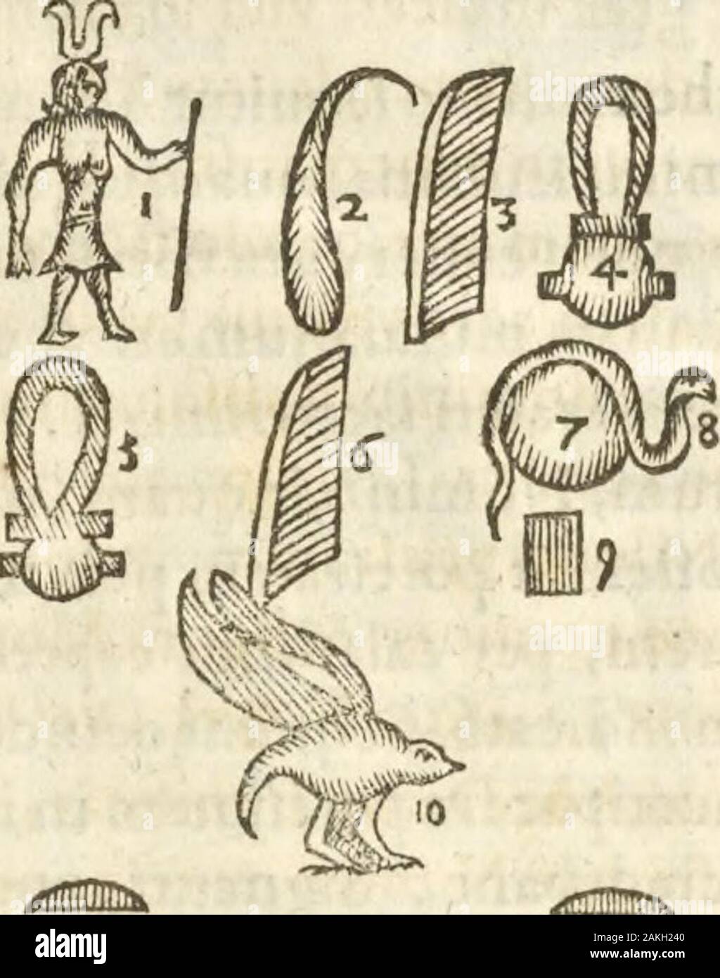 Athanasii Kircheri e SocIesu Obeliscus Pamphilius, hoc est, interpretatio noua & hucusque intentata obelisci hieroglyphici quem non ita pridem ex veteri hippodromo Antonini Caracallae Caesaris, nel forum agonale transtulit, integritati restituit & in Vbis Aeternae ornamentum erexit Innocentius XPontMax: in quo post varia Aegyptiacae, Chaldaicae, Hebraicae, Graecanicae antiquitatis doctrinaeque qua sacrae, qua profanae monumenta, veterum tandem theologia, hieroglyphicis inuoluta symbolis, detecta e tenebris in lucem asseritur . ,&HifcemedianribusNuminibusreliquam concacenacorum Numinum turbam,f Foto Stock