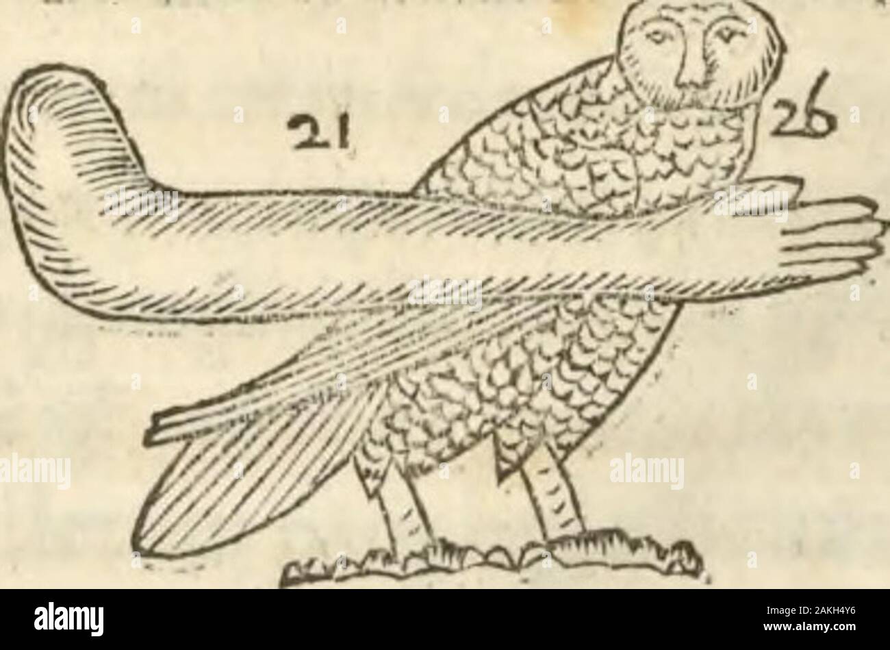 Athanasii Kircheri e SocIesu Obeliscus Pamphilius, hoc est, interpretatio noua & hucusque intentata obelisci hieroglyphici quem non ita pridem ex veteri hippodromo Antonini Caracallae Caesaris, nel forum agonale transtulit, integritati restituit & in Vbis Aeternae ornamentum erexit Innocentius XPontMax: in quo post varia Aegyptiacae, Chaldaicae, Hebraicae, Graecanicae antiquitatis doctrinaeque qua sacrae, qua profanae monumenta, veterum tandem theologia, hieroglyphicis inuoluta symbolis, detecta e tenebris in lucem asseritur . Foto Stock