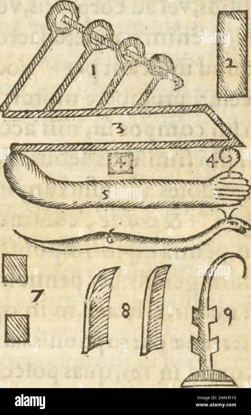 Athanasii Kircheri e SocIesu Obeliscus Pamphilius, hoc est, interpretatio noua & hucusque intentata obelisci hieroglyphici quem non ita pridem ex veteri hippodromo Antonini Caracallae Caesaris, nel forum agonale transtulit, integritati restituit & in Vbis Aeternae ornamentum erexit Innocentius XPontMax: in quo post varia Aegyptiacae, Chaldaicae, Hebraicae, Graecanicae antiquitatis doctrinaeque qua sacrae, qua profanae monumenta, veterum tandem theologia, hieroglyphicis inuoluta symbolis, detecta e tenebris in lucem asseritur . ^ E3 ,4- Foto Stock