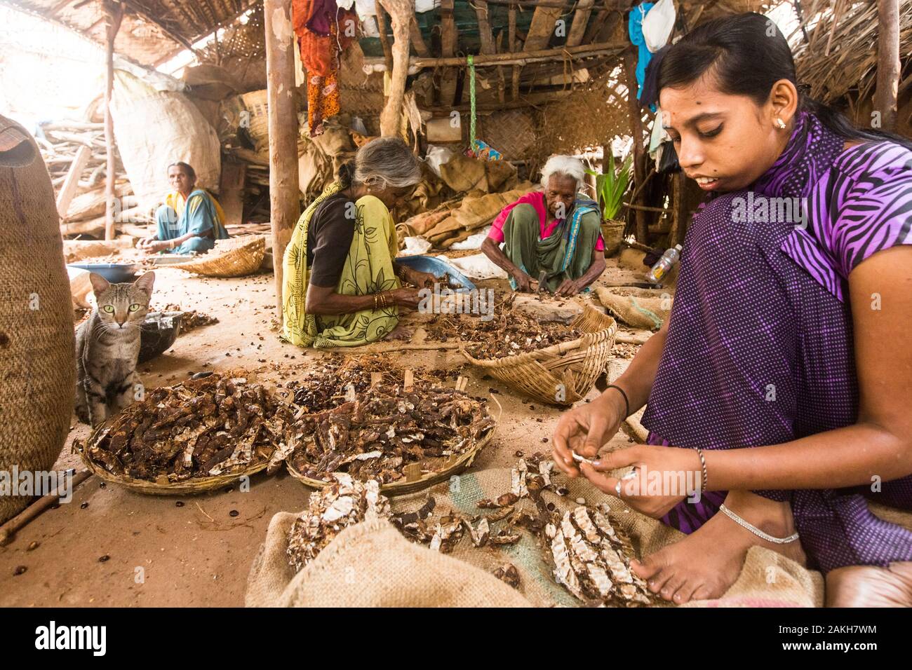 Didascalia: Nirmala ha parlato dei problemi dovuti alla ganascia sfigurare. Grazie alla mobilità in India, ha beneficiato di un intervento chirurgico e ora funziona come un tamarindo Foto Stock