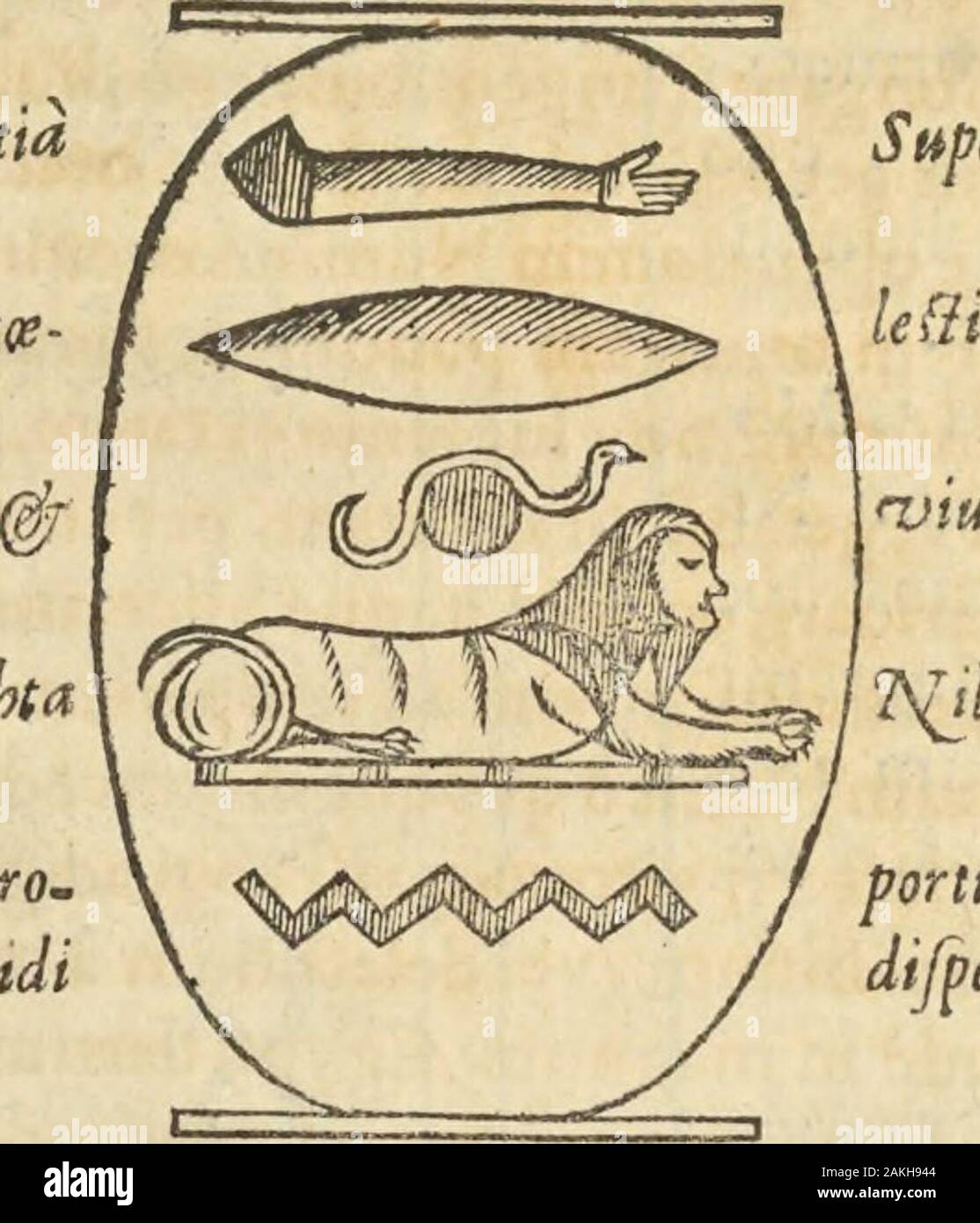 Athanasii Kircheri e SocIesu Obeliscus Pamphilius, hoc est, interpretatio noua & hucusque intentata obelisci hieroglyphici quem non ita pridem ex veteri hippodromo Antonini Caracallae Caesaris, nel forum agonale transtulit, integritati restituit & in Vbis Aeternae ornamentum erexit Innocentius XPontMax: in quo post varia Aegyptiacae, Chaldaicae, Hebraicae, Graecanicae antiquitatis doctrinaeque qua sacrae, qua profanae monumenta, veterum tandem theologia, hieroglyphicis inuoluta symbolis, detecta e tenebris in lucem asseritur . dicaco; quorunu]"mniumratioHeSj&authoritates,cuminprascedentibus pac Foto Stock