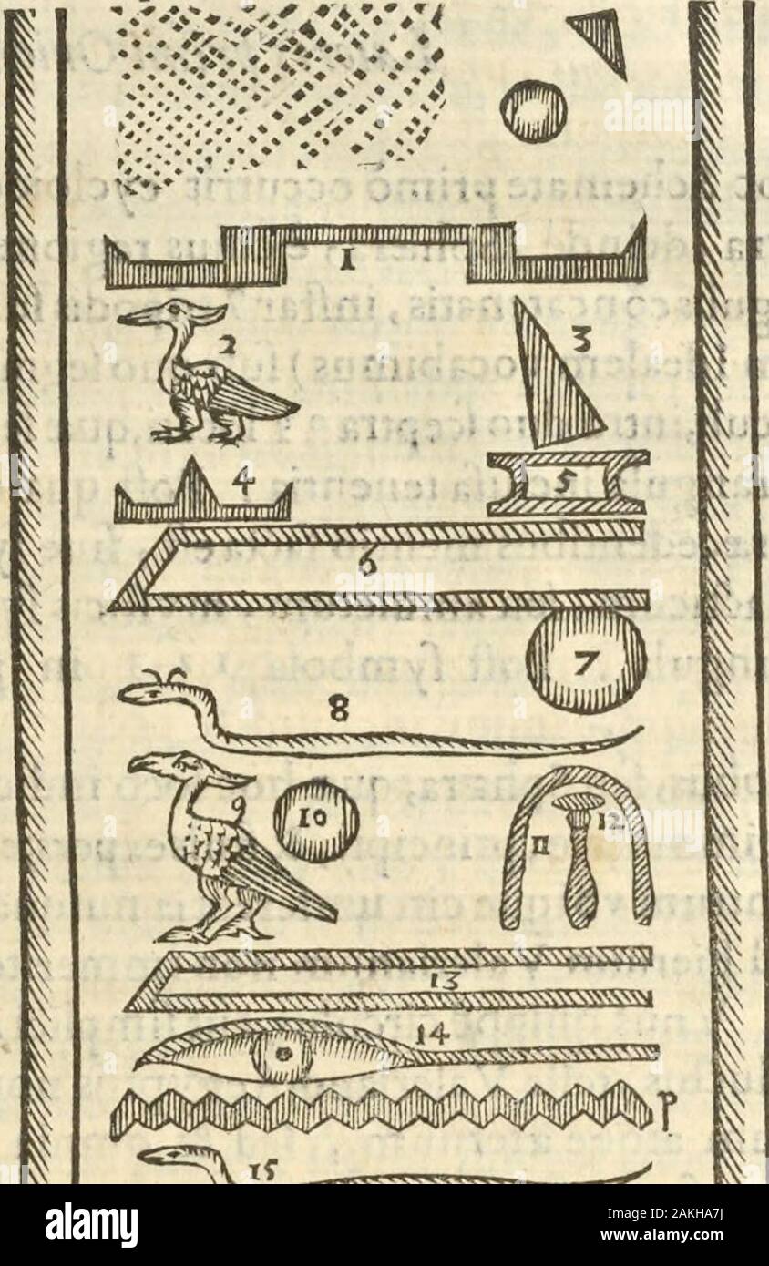 Athanasii Kircheri e SocIesu Obeliscus Pamphilius, hoc est, interpretatio noua & hucusque intentata obelisci hieroglyphici quem non ita pridem ex veteri hippodromo Antonini Caracallae Caesaris, nel forum agonale transtulit, integritati restituit & in Vbis Aeternae ornamentum erexit Innocentius XPontMax: in quo post varia Aegyptiacae, Chaldaicae, Hebraicae, Graecanicae antiquitatis doctrinaeque qua sacrae, qua profanae monumenta, veterum tandem theologia, hieroglyphicis inuoluta symbolis, detecta e tenebris in lucem asseritur . m totiusSchematifmiV. Idealem Le6tionem hic Idealis apponamus INTERP Foto Stock