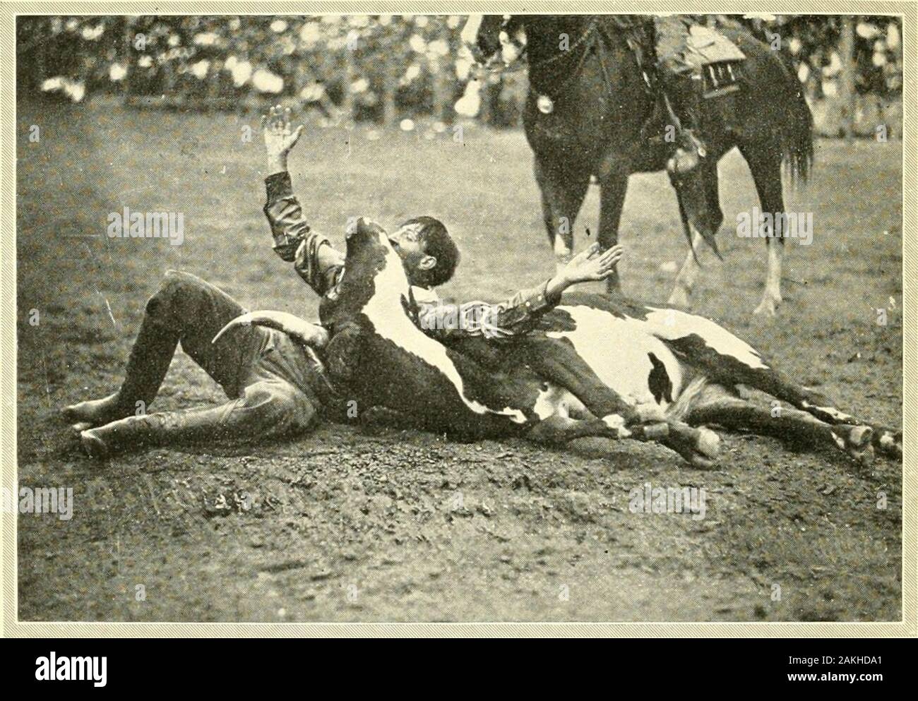 Lasciare "er buck, una storia del passaggio del vecchio West . Foto di W. S. Bowman Marina prendendo in carni bovine fresche. Foto di magg. Lee Moorhouse morso labbro im! Foto Stock