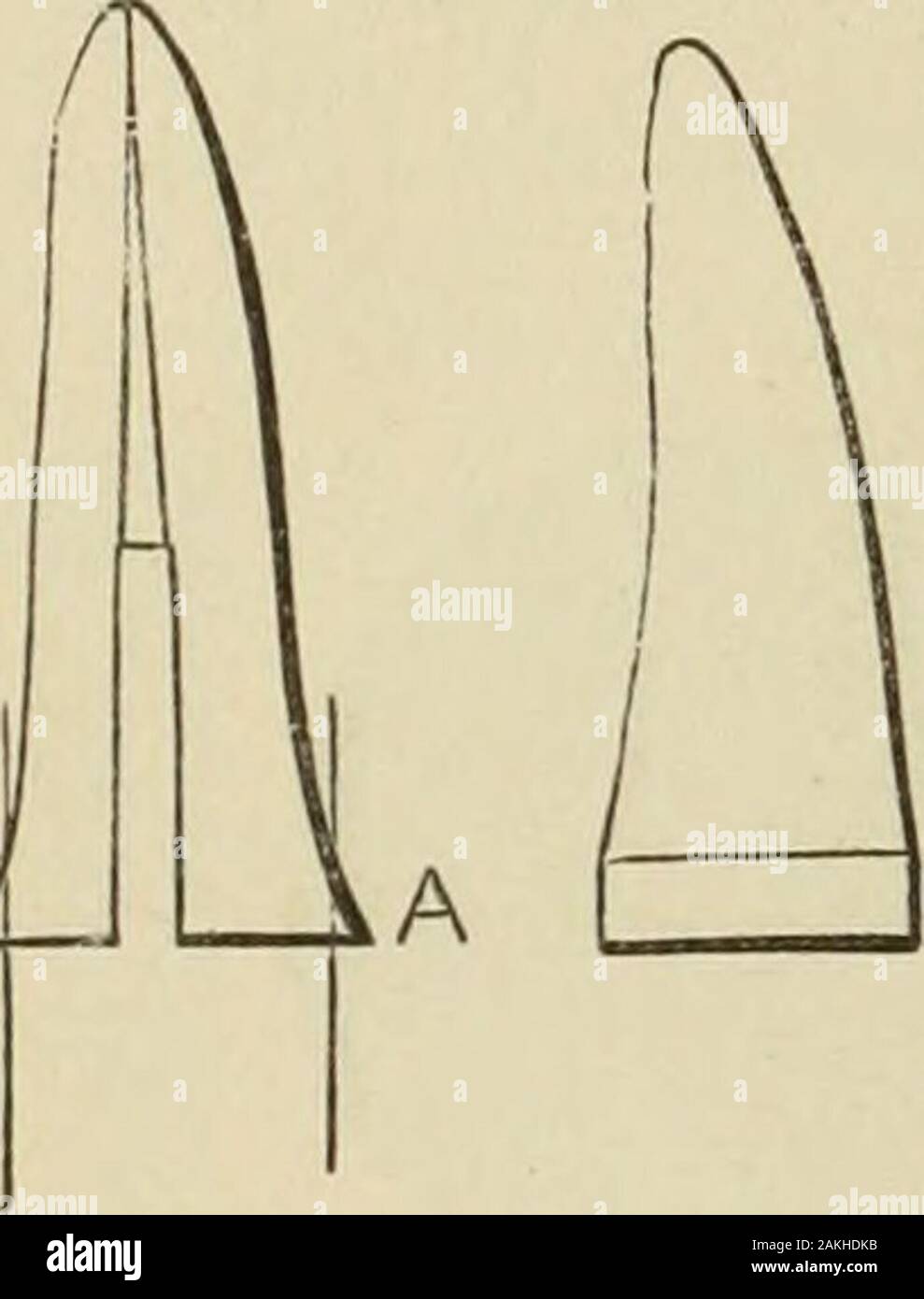 Un pratico trattato sulla corona artificiale- e ponte-lavoro . pezzo o in il giusto angolo di attacco si facilmente e quicklyaccomplish questo. Fig. 16 illustra un'altra forma che può essereusato in una mano-socket e rinforzare la mano appoggiando il thumbon i denti adiacenti. I punti devono essere temperato veryhard. File sagomata come mostrato in Fig. 17 sono utili in porzioni roundingangular. Un buon livello surtace dovrebbe essere data la Fig. 13. Fig. 14. La fio. 15. Fig. 16. La fio. T fig. 18. Un^ J. ho Foto Stock