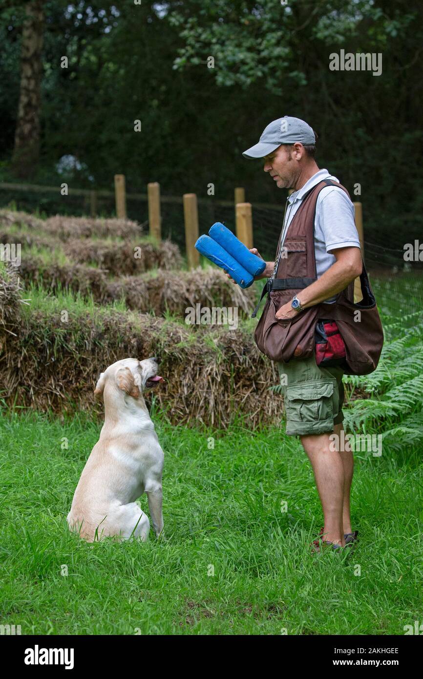 Addestratore del cane della pistola con Labrador e manichini che addestrano il cane di lavoro Foto Stock