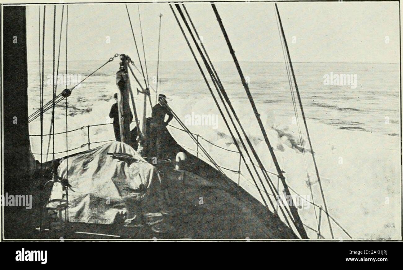 I documenti di seduta del Dominion del Canada 1911 . C. G. Ice-breaker Lady grigio rompendo lieavy banca di [liled ghiaccio a boa bianca curva,Lago di San Pietro, Marcli, 1910. Foto Stock