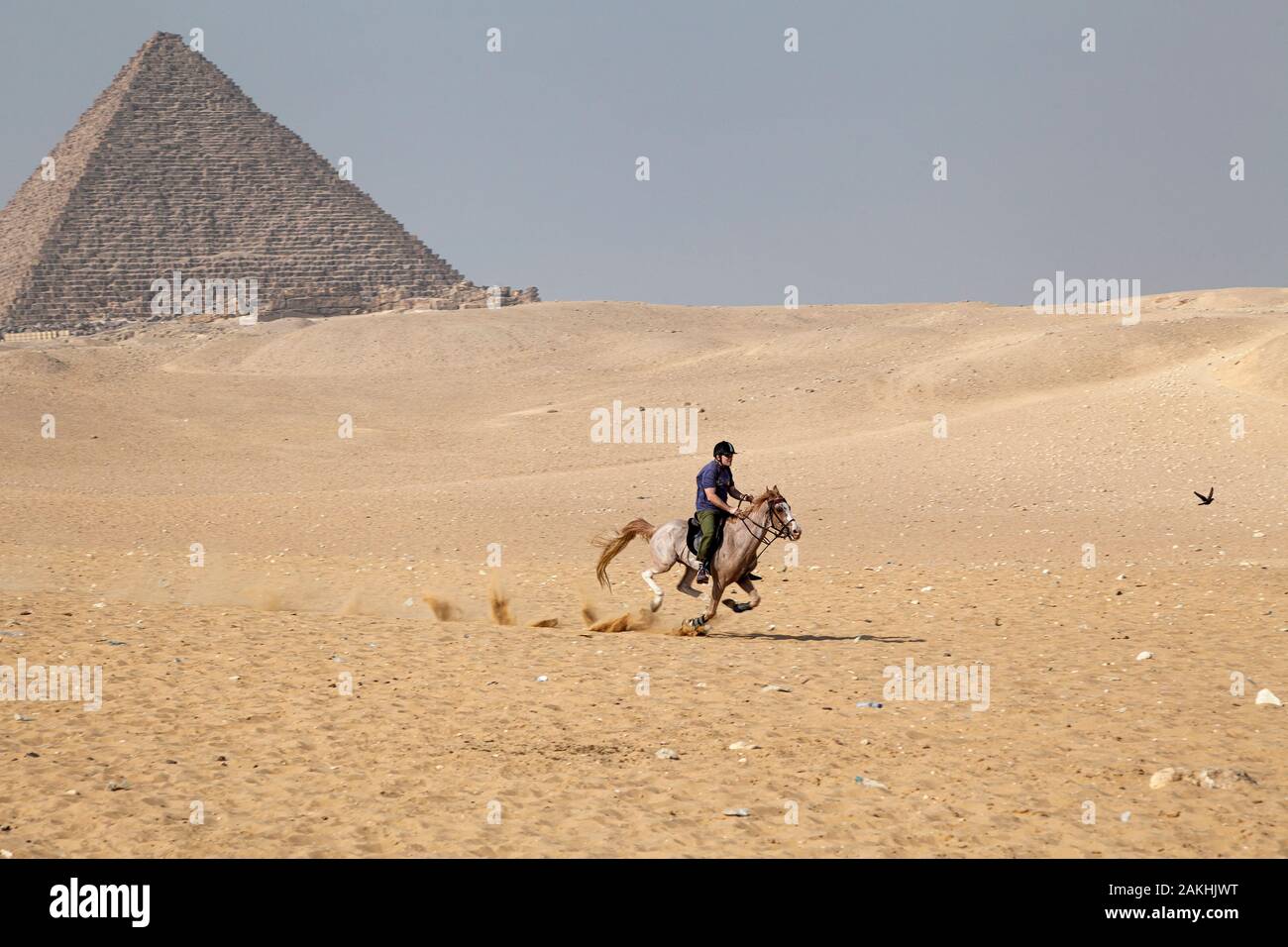 Un uomo corse a cavallo attraverso il deserto di sabbia su Giza altopiano presso le Grandi Piramidi d'Egitto Foto Stock