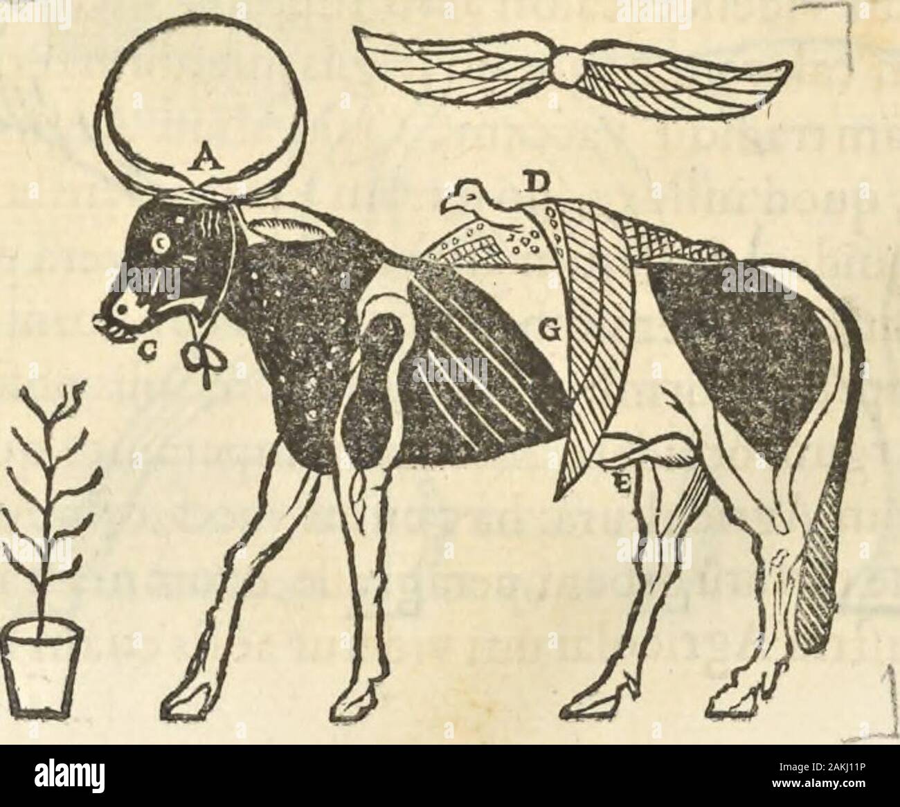 Athanasii Kircheri e SocIesu Obeliscus Pamphilius, hoc est, interpretatio noua & hucusque intentata obelisci hieroglyphici quem non ita pridem ex veteri hippodromo Antonini Caracallae Caesaris, nel forum agonale transtulit, integritati restituit & in Vbis Aeternae ornamentum erexit Innocentius XPontMax: in quo post varia Aegyptiacae, Chaldaicae, Hebraicae, Graecanicae antiquitatis doctrinaeque qua sacrae, qua profanae monumenta, veterum tandem theologia, hieroglyphicis inuoluta symbolis, detecta e tenebris in lucem asseritur . Tertia figura fimiliter inuenitur in fecunda fuperiori Tabulae Bembi Foto Stock