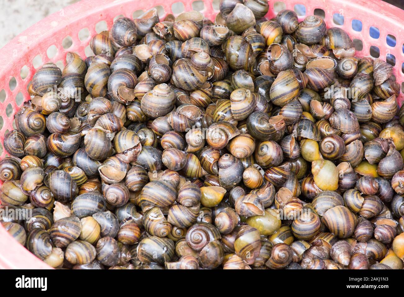 Cesto di lumache al mercato di Ho Chi Minh Foto Stock