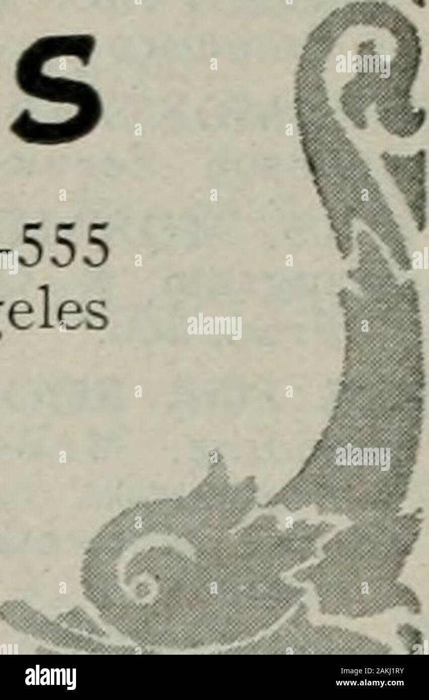 Architetto e ingegnere . Opere di vernice, 55 ste-venson San, San Francisco.Sfumature finestra W. & J. Sloane, 216-228 Sutter San, San Fran-cisco.WINDOWS, reversibile, CASEMENT, ecc.La finestra di Hauser Co., 157 Minna San, San Fran-cisco.J. G. Wilson Corporation, 600 MetropolitanBldg., Los Angeles; Waterhouse-Wilcox Co.,Underwood Bldg., San Francisco.filo tessuto U. S. prodotti siderurgici Co., Rialto Bldg.. San Francisco.Clinton filo assicella, venduto da L. O. Norris, 140Townsend San, San Francisco.filo recinzione recinzione Standard Co., 310 IJth San. Oakland. WOOD MANTELS Fink & Schindler, 218 XIII SAN, San Francisco.Mangrum & Ot Foto Stock