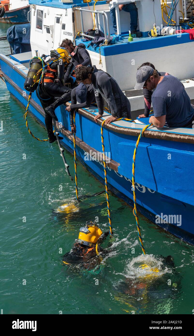 Hermanus, Western Cape, Sud Africa. I subacquei professionisti corso di formazione, gli studenti di lavoro subacqueo da una barca al porto nuovo in Hermanus. Foto Stock